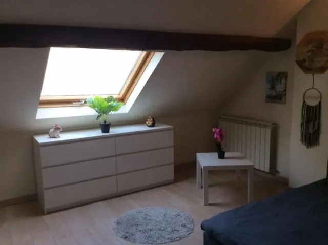 Maison En Centre-ville Aeroport Holiday home *